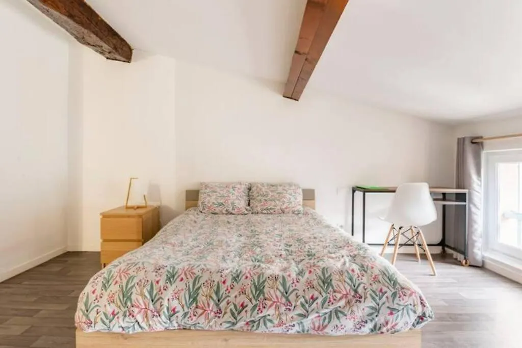 Cosy Maison De Ville 100M2 - Tout Equipee Et Calme Montauban Appartement